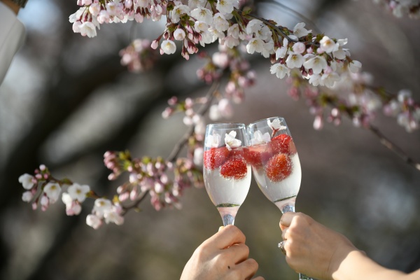 新潟県三条市　長岡市　見附市　新潟市　結婚式場 乾杯酒　お洒落　乾杯グラス