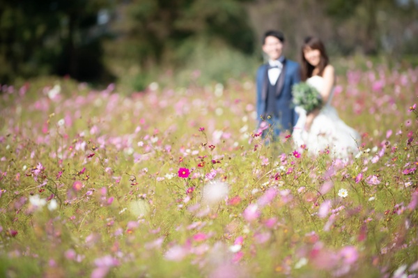 新潟県三条市　新潟市　長岡市　結婚式場　美花嫁　風邪予防　美容力　ロケーションフォト　インスタ　キャンペーン