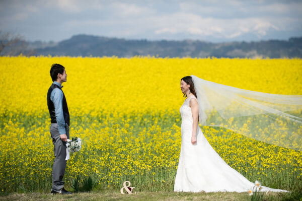 新潟県三条市　新潟市　見附市　結婚式場　ロケフォト　月　おススメ　ドレス　撮影