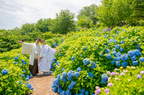 新潟県三条市　新潟市　長岡市　結婚式場　顔合わせ　ブライダルフェア　和装　ドレス