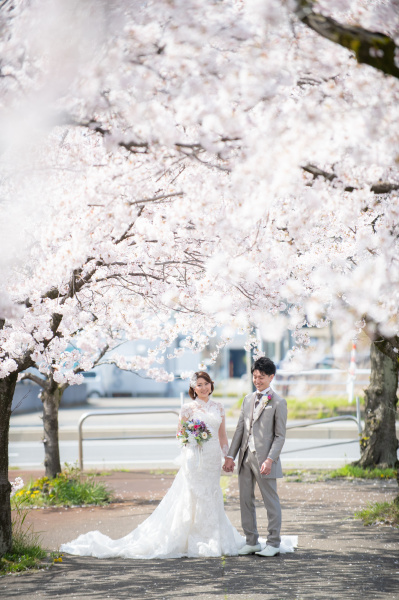 新潟県三条市　長岡市　新潟市　結婚式場　前撮りフォト　ロケーションフォト　桜　和装　ドレス　花嫁