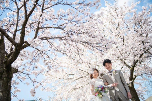 新潟県三条市　長岡市　新潟市　結婚式場　前撮りフォト　ロケーションフォト　桜　和装　ドレス　花嫁