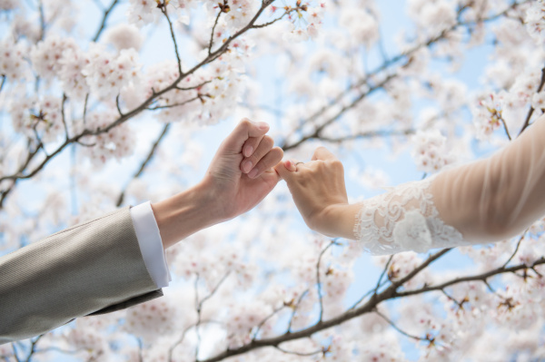 【おすすめ◆前撮りフォト】この時期は桜！桜と一緒に前撮りした花嫁さまの素敵フォトまとめ★