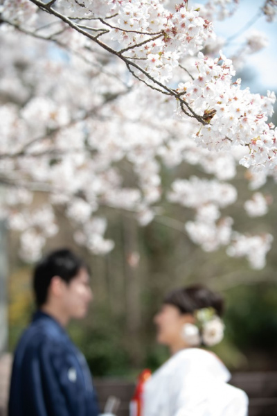 新潟県三条市　長岡市　新潟市　結婚式場　前撮りフォト　ロケーションフォト　桜　和装　ドレス　花嫁