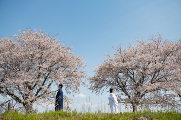 新潟県三条市　長岡市　新潟市　結婚式場　前撮りフォト　ロケーションフォト　桜　和装　ドレス　花嫁