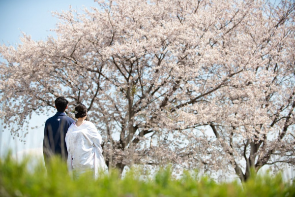 新潟県三条市　長岡市　三条市　見附市　結婚式場　 お呼ばれ衣裳　着物　伝統