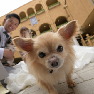 【最新◆パーティレポート公開！ムービー編】愛犬とのロケーションフォトに大満足(^^♪