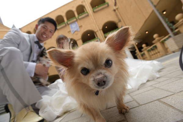 新潟県三条市　新潟市　長岡市　結婚式場　パーティレポート　動画　愛犬　チャペル　ロケーション　仲間