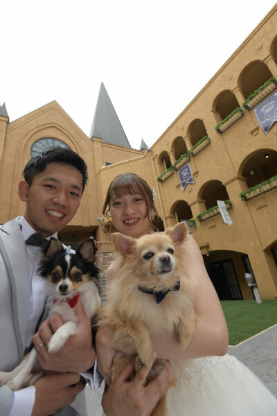 新潟県三条市　新潟市　長岡市　結婚式場　パーティレポート　動画　愛犬　チャペル　ロケーション　仲間