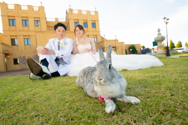 新潟県三条市　長岡市　新潟市　結婚式場　前撮り　フォト撮影　前撮影　ウェディングドレス　チャペル　カラードレス　和装