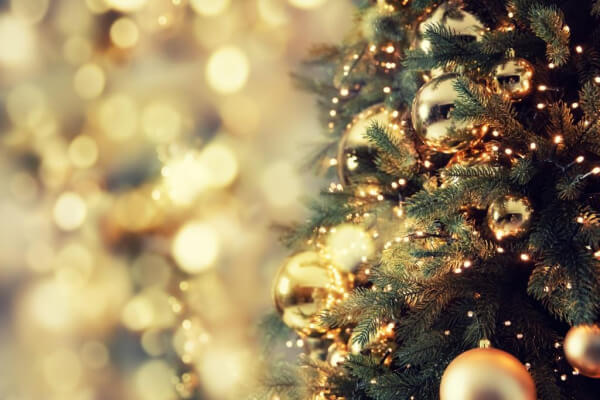 【Xmasフェア開催◆12/14～12/25】＼最大1万円のギフト券がもらえる！／ご成約で最大35万円の豪華特典も！