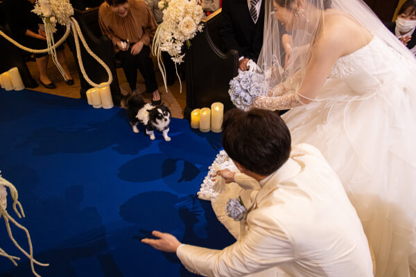 新潟県三条市　長岡市　新潟市　結婚式場　ウェディングドレス  人前挙式　リングドッグ