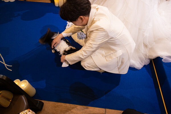新潟県三条市　長岡市　新潟市　結婚式場　ウェディングドレス  人前挙式　リングドッグ