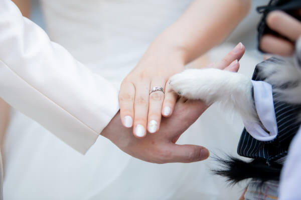新潟県三条市　長岡市　新潟市　結婚式場　ウェディングドレス  人前挙式　リングドッグ