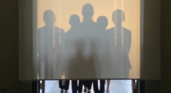 新潟県三条市　長岡市　見附市　シルエット入場　サプライズ入場　結婚式演出　プレ花嫁　ピアザデッレグラツィエ