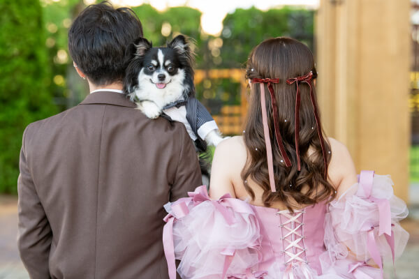 新潟県三条市　長岡市　新潟市　結婚式場　ウェディングドレス  カラードレス　前撮影