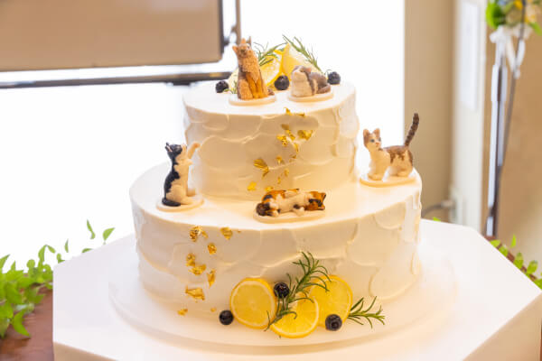 新潟県三条市 長岡市 新潟市 結婚式場 ウェディングドレス パパママキッズ婚 ウェディングパーティー カラードレス