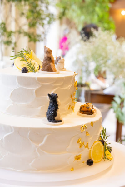 新潟県三条市 長岡市 新潟市 結婚式場 ウェディングドレス パパママキッズ婚 ウェディングパーティー カラードレス